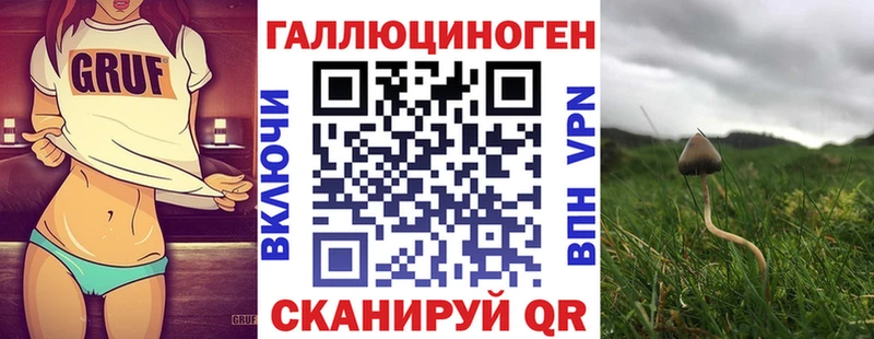Галлюциногенные грибы GOLDEN TEACHER  как найти   Киренск 